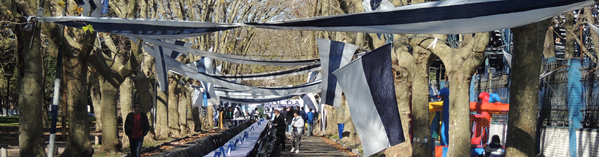 FESTEJOS POPULARES EN EL BOSQUE