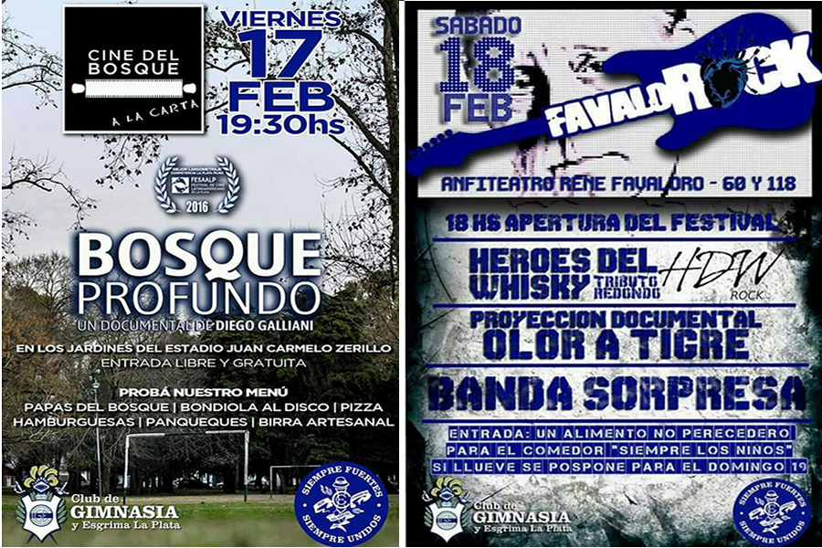 CINE Y ROCK EN EL BOSQUE