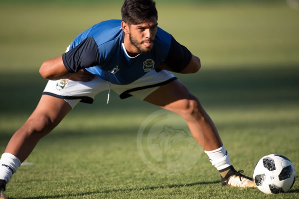 ALDERETE, DE SELECCIÓN