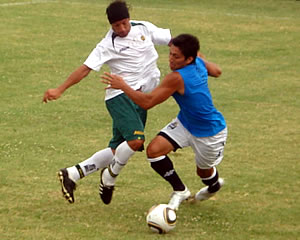 VUELVE A ESTANCIA
