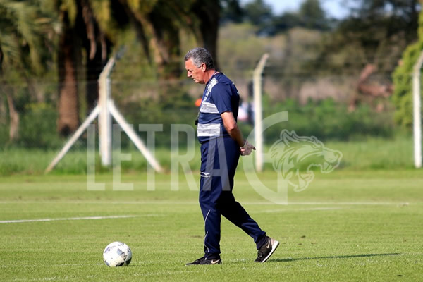 LOBO CONFIRMADO