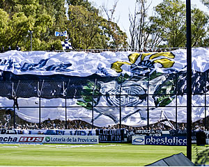UN BOSQUE ENCANTADO 