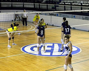 LAS LOBAS EN UN PARTIDO ACCESIBLE