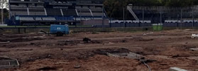 AVANZA LA PLATEA “NESTOR BASILE”
