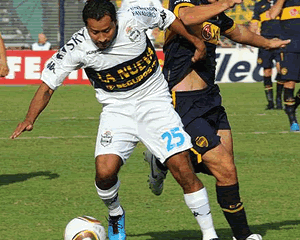 UN OSO GRANDE EN DEFENSA