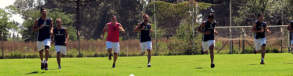 <BIG>FÍSICO EN ABASTO</BIG>