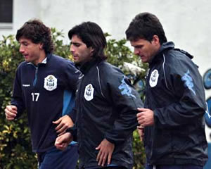 UN LOBO CONCENTRADO