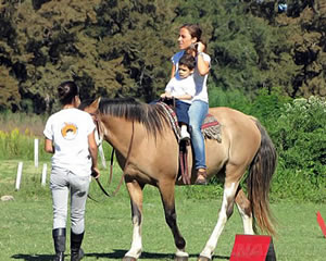 EQUINOTERAPIA EN GIMNASIA