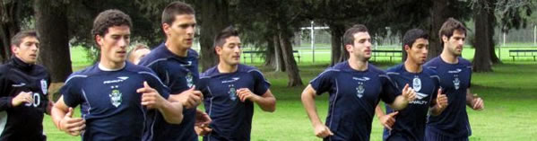 EL LOBO VUELVE AL TRABAJO EN ESTANCIA