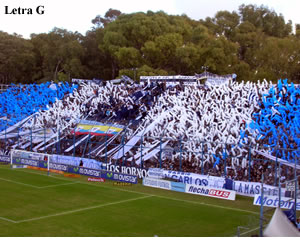 ¡A PELEARLA LOBO!