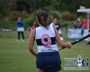 LAS LOBIZONAS ANTE DEFENSORES