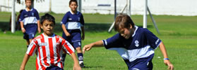 EL LOBO ARRASÓ CON TALLERES