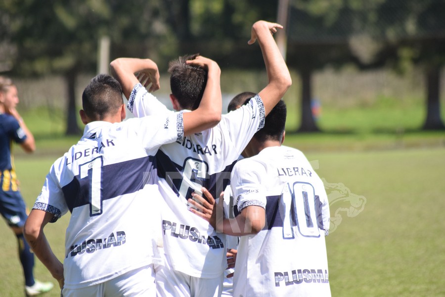 Arrancan los Lobitos