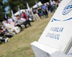 A PASO FIRME AVANZA EL CAMPUS