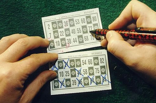 BINGO LI.NA.ME.
