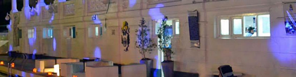 <big>EL LOBO EN LA NOCHE DE LOS MUSEOS
