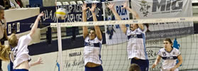 LAS LOBAS A SEMIFINALES
