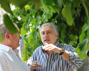 PAPASODARO EN LETRA G