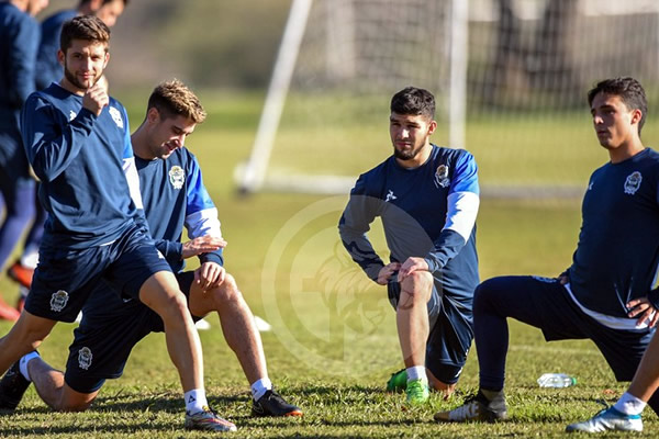 VUELVE PUCHI