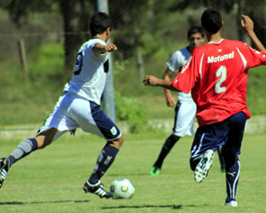 MAGRA COSECHA EN JUVENILES