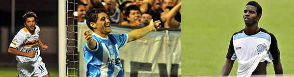 UN LOBO QUE DEBE REFORZARSE