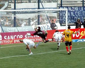 EMPATE EN EL BOSQUE