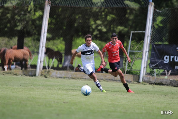 BUENA PERFORMANCE vs banfield