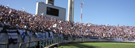 SE PREPARA LA MOVI A PERGAMINO